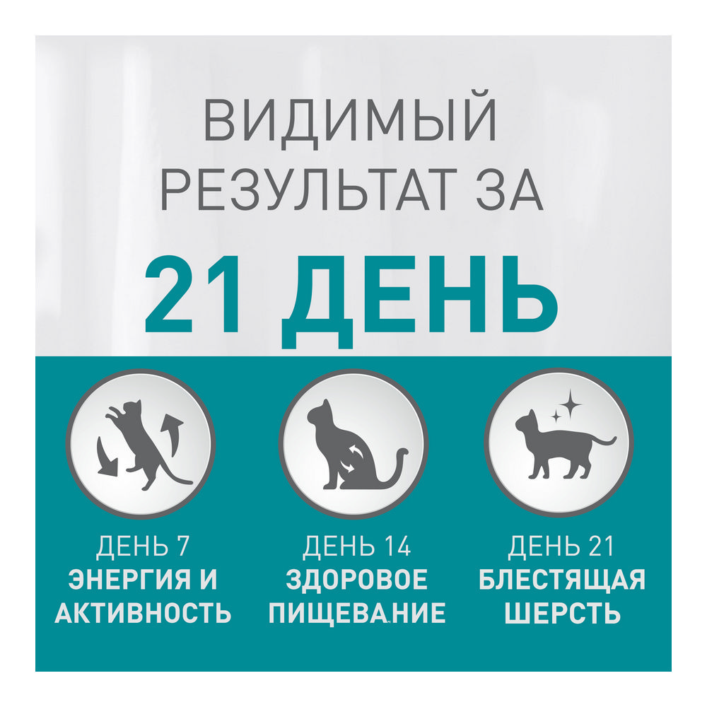 Сухой корм для кошек с чувствительным пищеварением Purina One с индейкой и рисом 200г Вид№6