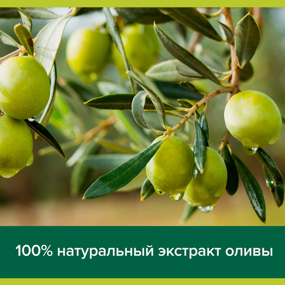 Жидкое мыло Palmolive Натурэль " интенсивное увлажнение " Олива и увлажняющее молочко 300мл. Фото 12.