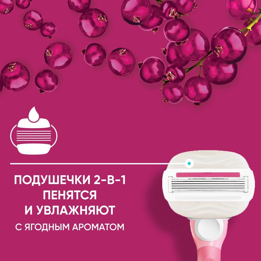 Кассеты для станка Venus Comfortglide Sugarberry сменные 2шт. Фото 5.