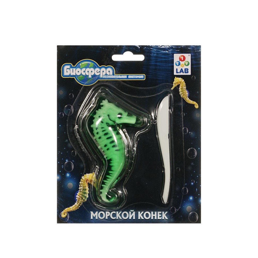 Набор для опытов 1 Toy БИОсфера Морской конек. Фото 1.