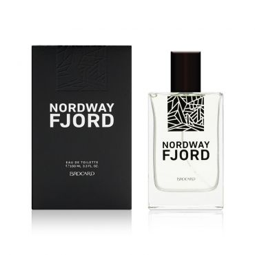 Мужская туалетная вода Nordway " Fjord " 100мл.