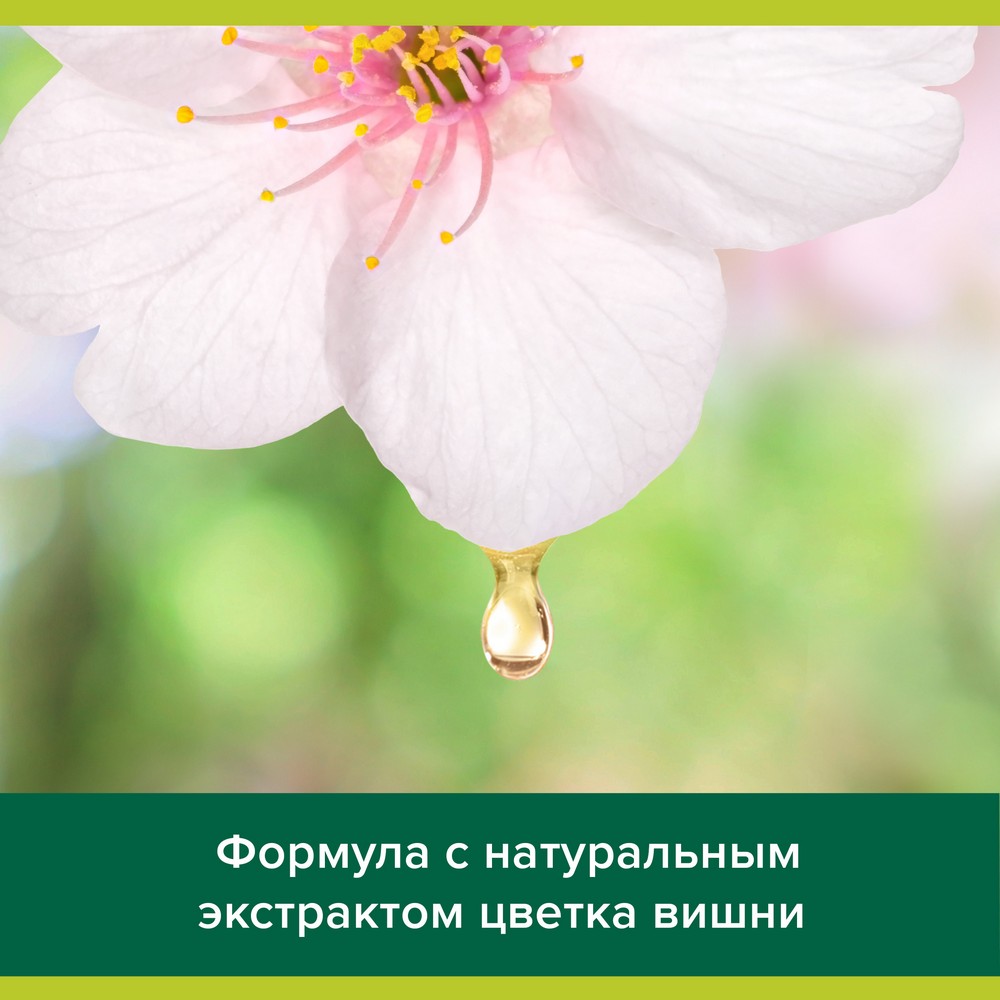 Туалетное мыло Palmolive Натурэль " Нежность и комфорт " с экстрактом цветка вишни 90г. Фото 7.