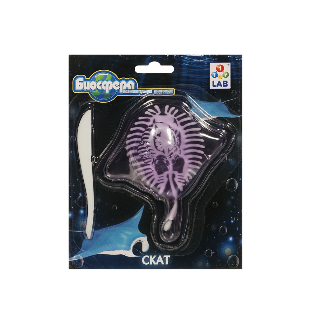 Набор для опытов 1 Toy БИОсфера Скат. Фото 1.